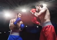 Lutas e Artes Marciais em Ibiúna